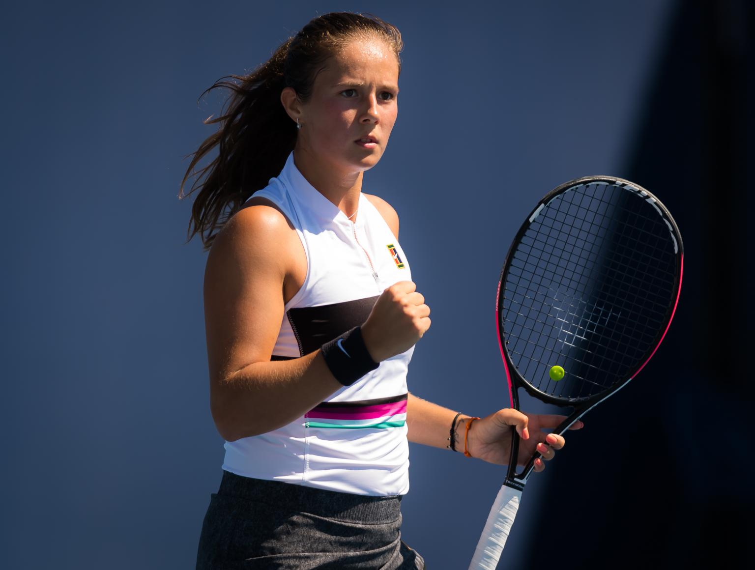 鹈鹕队有多 鹈鹕队有多